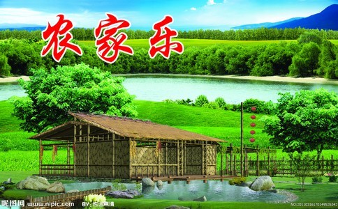 临安以特色风情升级农家乐