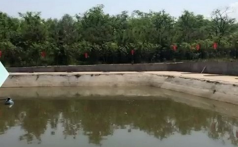 农家乐了商家笑了(图1) 农家乐了商家笑了
