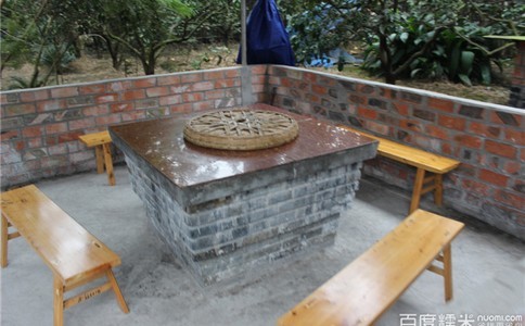 常年吃素的她却发现胆固醇偏高是每天吃五勺“(图1) 常年吃素的她却发现胆固醇偏高是每天吃五勺“养生粉”