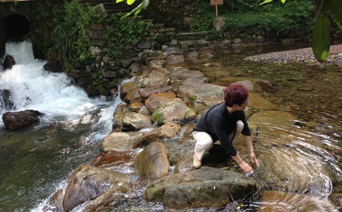 景德镇各大旅行社考察团来临安考察(图1)